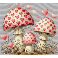 Valentine's Day-QRJ  2338